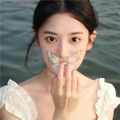 战地花开
